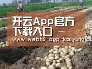 种植基地七(图1)