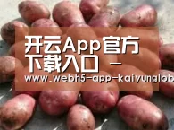 产品展示标题5