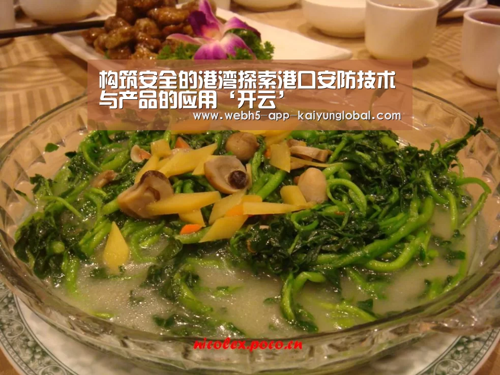 构筑安全的港湾探索港口安防技术与产品的应用‘开云’(图1) 构筑安全的港湾探索港口安防技术与产品的应用‘开云’(图1)